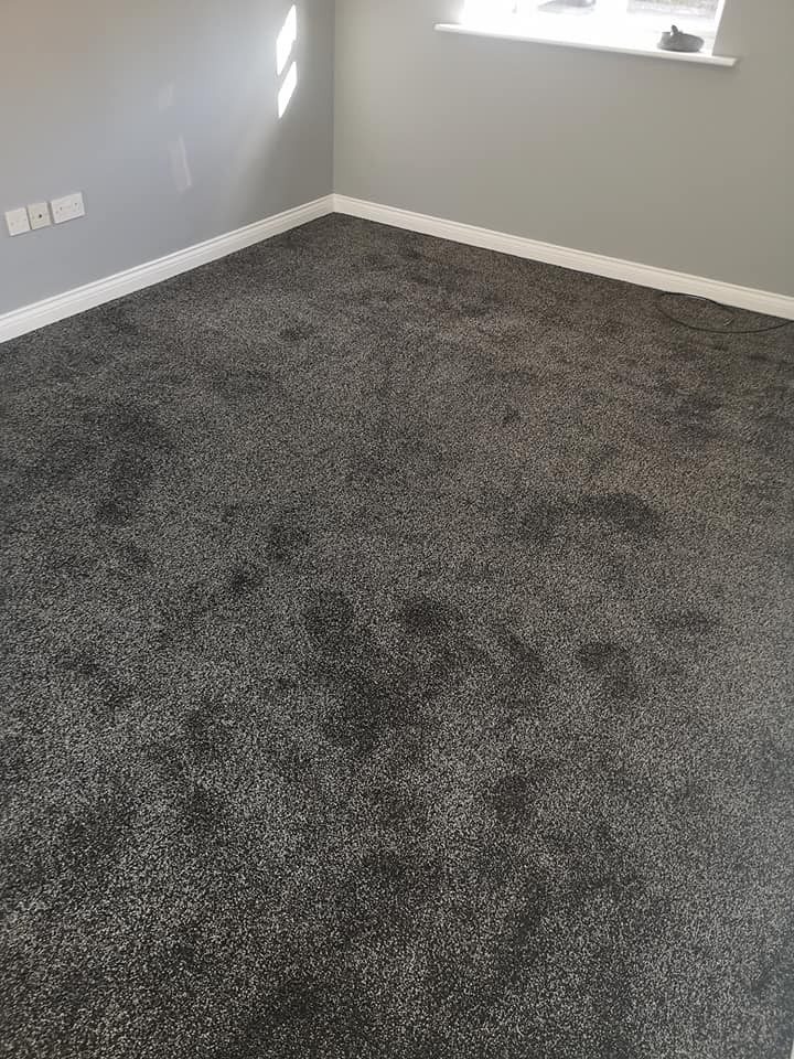 Dark grey carpet fitted wall to wall in an empty room